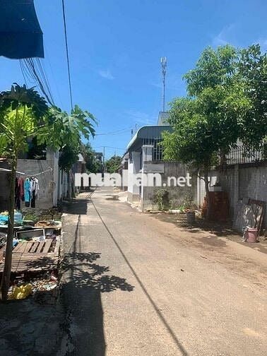 🏠 CHO THUÊ NHÀ MÁI TÔN - ĐẤT RỘNG 500m²