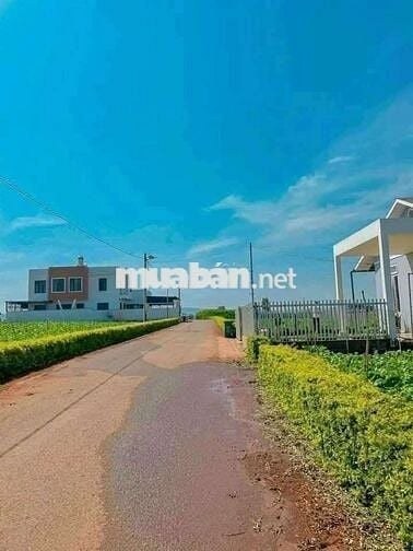 BÁN ĐẤT MẶT TIỀN ĐƯỜNG NHỰA tại HIỆP THẠNH - ĐỨC TRỌNG - LÂM ĐỒNG