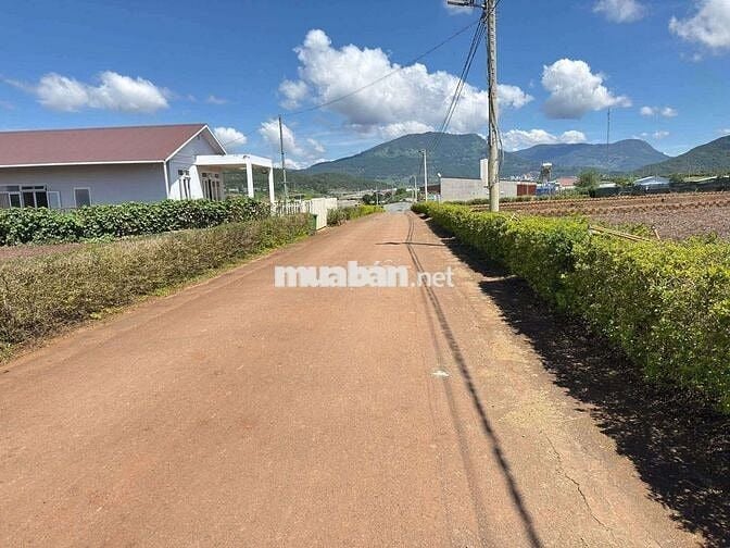 BÁN ĐẤT MẶT TIỀN ĐƯỜNG NHỰA tại HIỆP THẠNH - ĐỨC TRỌNG - LÂM ĐỒNG
