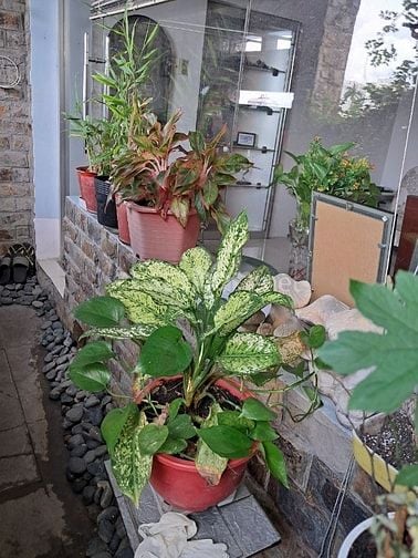 Bán căn hộ ccư Lầu 3 đg Bà Hom, P13, Q6 cũ. DT: 68m2: 2 phòng ngủ