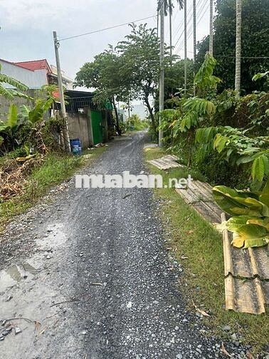 1000m2 có 300m2 thổ cư đường xe tải bán 7 tỷ