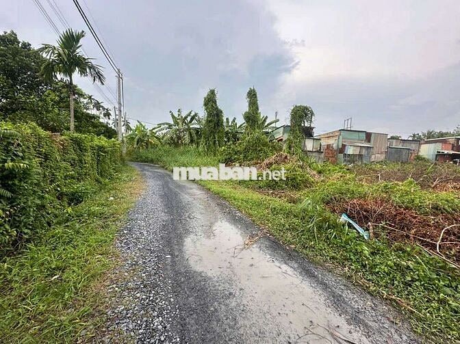 1000m2 có 300m2 thổ cư đường xe tải bán 7 tỷ
