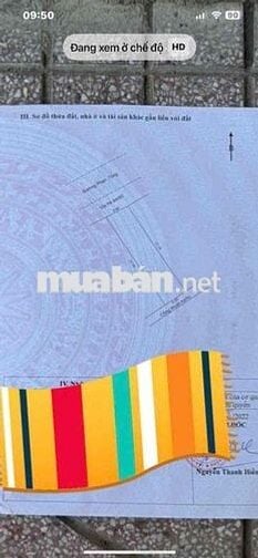 BÁN CẶP ĐẤT ĐẸP ĐƯỜNG PHAN TÒNG – NGŨ HÀNH SƠN, ĐÀ NẴNG 🌟