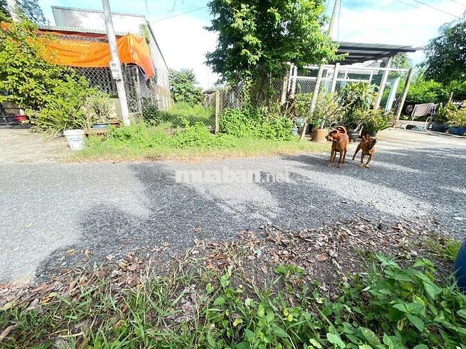 CHỦ NGỘP BÁN LÔ (5x40) GIÁ 560TR TC CÓ SẴN MUA VỀ XÂY DỰNG NGAY GIÁ TL