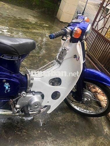 xe cub học sinh máy êm chạy bốc