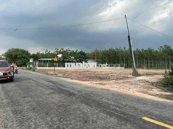 Bán gấp lô đất 5x45 tại Bình Dương giá chỉ 290.000.000