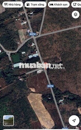 Bán đất mặt tiền tại Long Tân-Dầu Tiếng-BD
