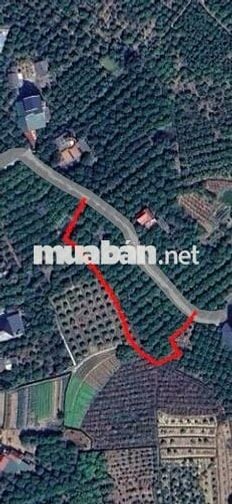 Đất Nền Mịn to, Trù Hựu giá đầu tư vô cùng hấp dẫn