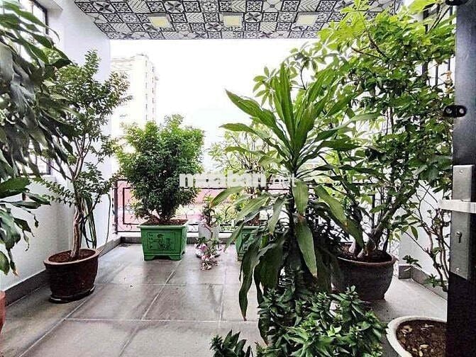 CHÚ LONG CẦN TIỀN BÁN GẤP NHÀ HXH DƯƠNG ĐÌNH NGHỆ, Q11. GIÁ 5TỶ680 TL
