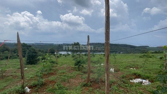 Bán lô đất View hồ có 400m thổ cư, tổng diện tích 8800m2
