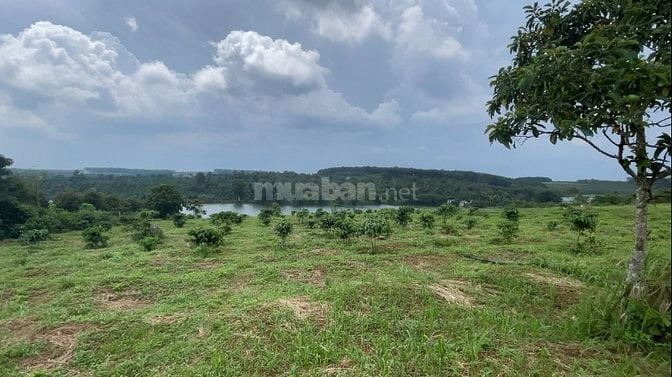 Bán lô đất View hồ có 400m thổ cư, tổng diện tích 8800m2