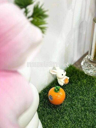 🏡 CHO THUÊ CĂN HỘ Q10 – HẺM XE HƠI, GẦN SƯ VẠN HẠNH❌❌❌❌