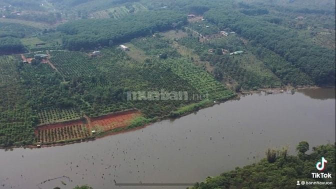 Bán lô đất View hồ có 400m thổ cư, tổng diện tích 8800m2