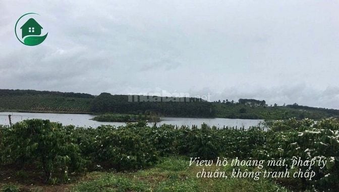 Bán lô đất View hồ có 400m thổ cư, tổng diện tích 8800m2