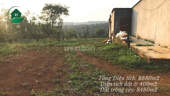 Bán lô đất View hồ có 400m thổ cư, tổng diện tích 8800m2