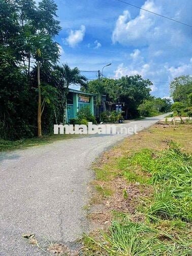 🔥 BÁN ĐẤT ĐẸP XÃ PHÚ HÒA ĐÔNG, CỦ CHI – GIÁ TỐT CHO NHÀ ĐẦU TƯ 🔥