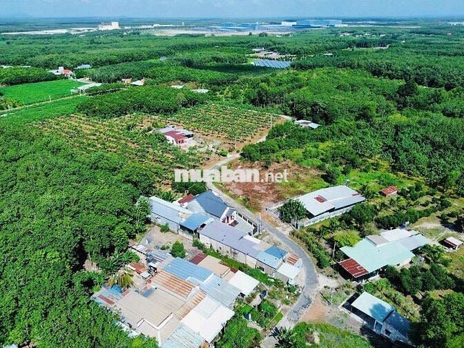 Em Còn 1 Lô Ngay KCN Minh Hưng SikiCo, Dân Cư Đông