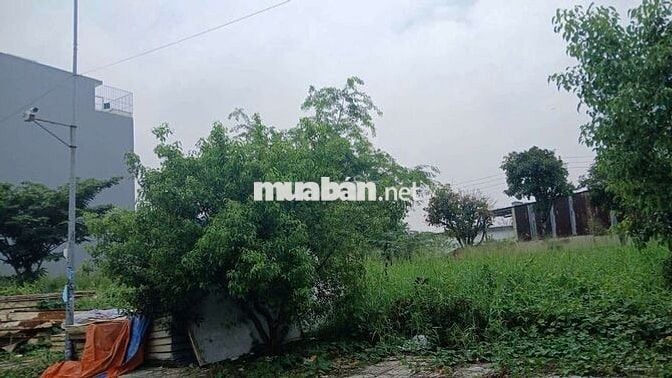 Bán lô đất - Khu phân lô đường 12m - Hà Huy Giáp - 64m2 - Giá 3,9 tỷ