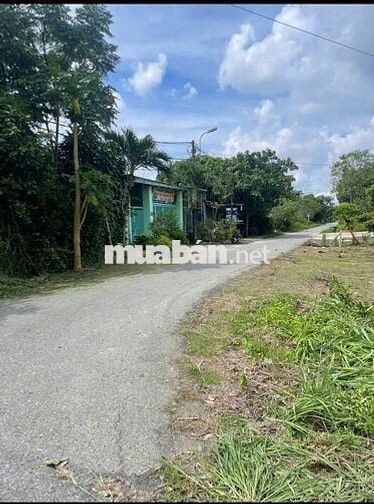 BÁN ĐẤT: 180m2 thổ cư gần trường Mầm non Trung Lập Thượng - SHR