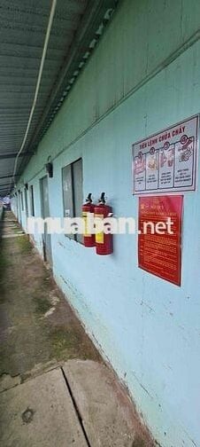 Dãy nhà trọ 11 phòng Vườn Thơm, Bình Lợi, HCM