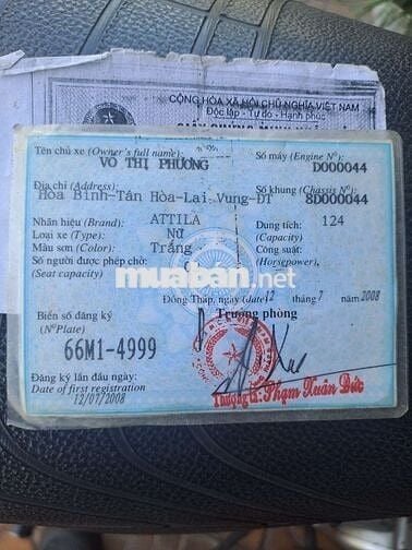 Attila Elizabeth xe đẹp máy êm BS đẹp bình vỏ mới