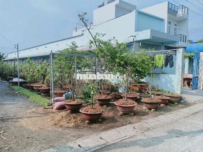 Dãy nhà trọ 11 phòng Vườn Thơm, Bình Lợi, HCM