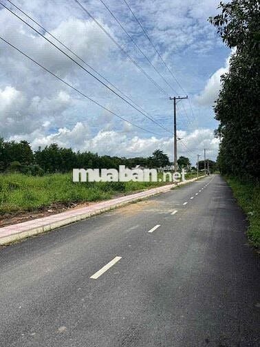 Bán đất đường phùng Hưng liền kề sân Bay Long Thành