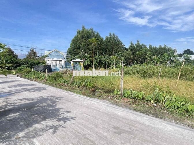 BÁN ĐẤT CHÍNH CHỦ 5X29M THỔ CƯ SÔNG TRẦU 19 TR.BOM