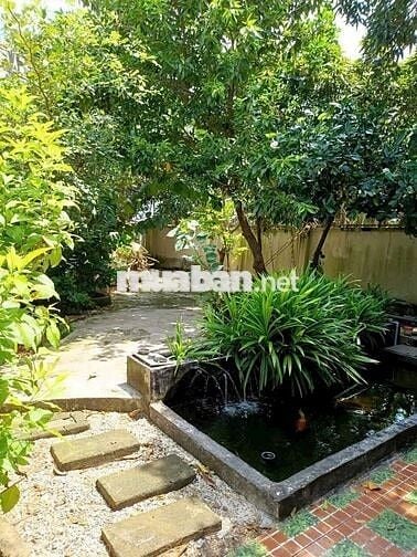 Cho thuê nhà sân vườn đường Trần Xuân Độ gần chợ Bến Đình