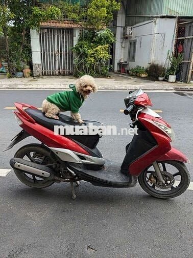 Yamaha Mio ultimo