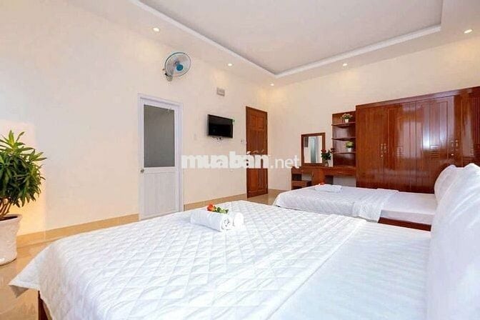 Cho thuê villa hồ bơi 9PN full nội thất ở hoặc kinh doanh homestay