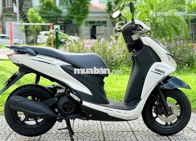 🌈Yamaha Freego 2019 xe cực đẹp - CÓ TRẢ GÓP