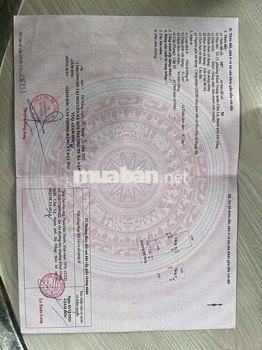 nhà 2 tầng kiệt Trần Huy liệu gần đường chính ngay trung tâm 3ty650