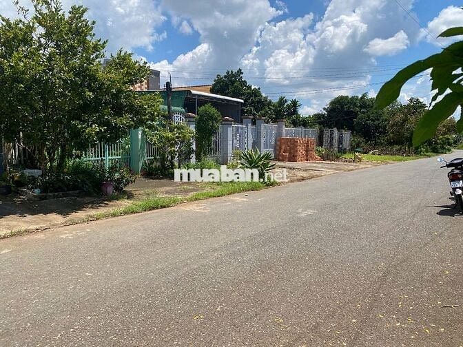 BÁN 220M2 ĐẤT Ở,MẶT TIỀN ĐƯỜNG NHỰA LƠNS,DÂN CƯ Ở ĐÔNG ĐÚC,GIÁ 1,3 T.Ỷ