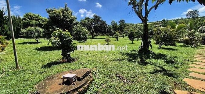 chính chủ cần bán gấp 6.000m2, khu du lịch sinh thái