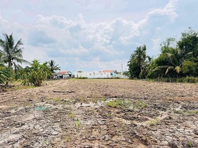 🌵🌵 BÁN 500M² ĐẤT VƯỜN NỀN SẴN – SẸC ĐƯỜNG NHỰA NGUYỄN THỊ LẦU  📍 Ra nh