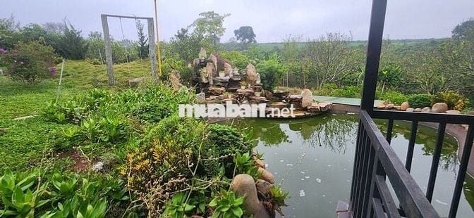 chính chủ cần bán gấp 6.000m2, khu du lịch sinh thái
