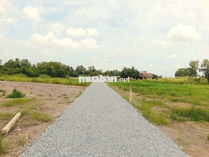 1000m2 đất xây nhà vườn view sông cực đẹp chỉ 600tr