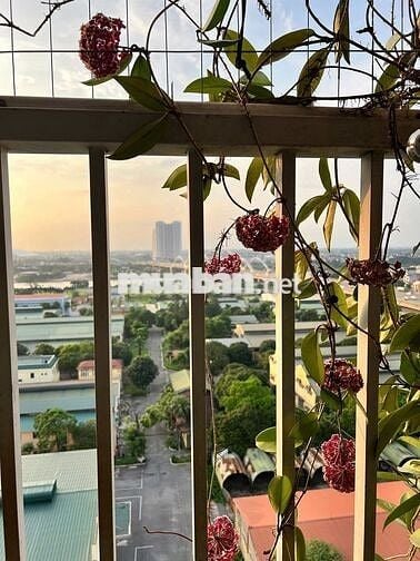 View Vin Cổ Loa! Bán CC Quân đội K33, Tầng đẹp,Full nội thất. Hơn 4 tỷ