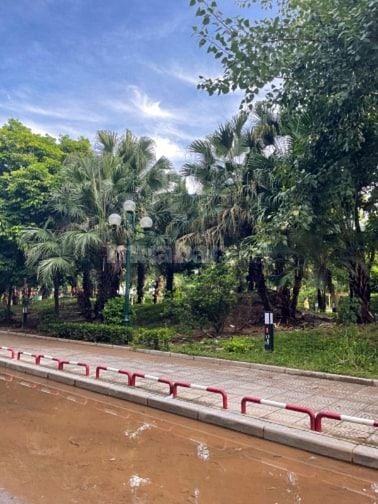 Bán nhà Hoàng Cầu, 1 nhà ra phố, ngõ ô tô, 60m2 x 4 tầng, Giá 18 tỷ