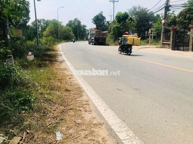 Bán nhanh lô Đ.Nguyễn Thị Se, Tân Thông Hội, DT 199m2 giá 1,4 tỷ, SHR