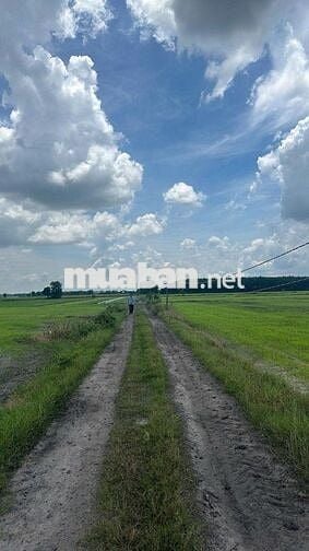 BÁN ĐẤT FULL THỔ CƯ - XÃ CHÀ LÀ - HUYỆN DƯƠNG MINH CHÂU GIÁ RẺ