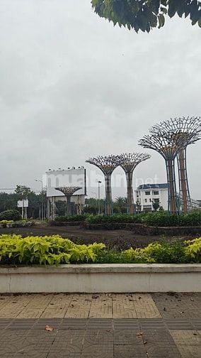🔥 BÁN ĐẤT SÂN BAY LONG THÀNH – CƠ HỘI ĐẦU TƯ SINH LỜI 🔥