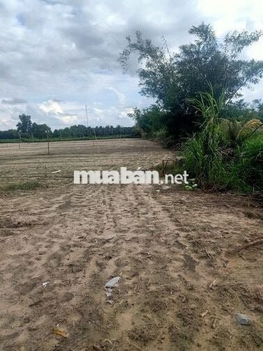 Bán đất xã Phan .H Dương Minh Châu.DT.32.977m2 có thổ 1000m giá 44 tỷ