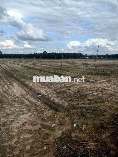 Bán đất xã Phan .H Dương Minh Châu.DT.32.977m2 có thổ 1000m giá 44 tỷ