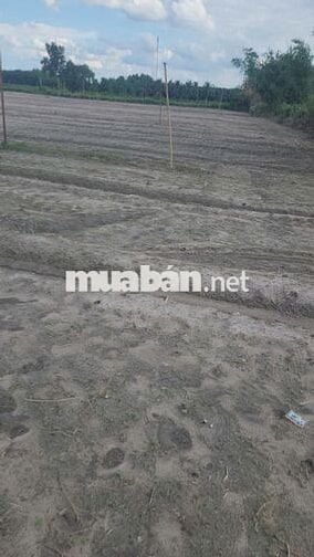 Bán đất xã Phan .H Dương Minh Châu.DT.32.977m2 có thổ 1000m giá 44 tỷ