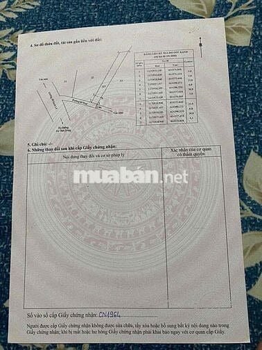 cần bán lô đất thổ cư đường ô tô tại xã An Thới đông cần giờ tphcm