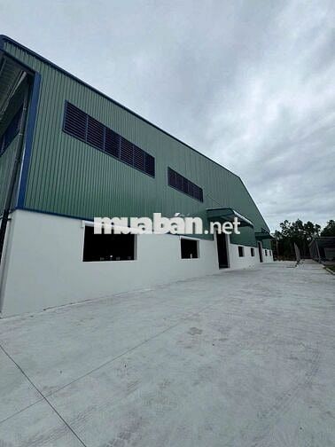 Cho Thuê Kho Xưởng 5000m² Tại Hóc Môn – PCCC Tự Động, Điện 1.000KVA