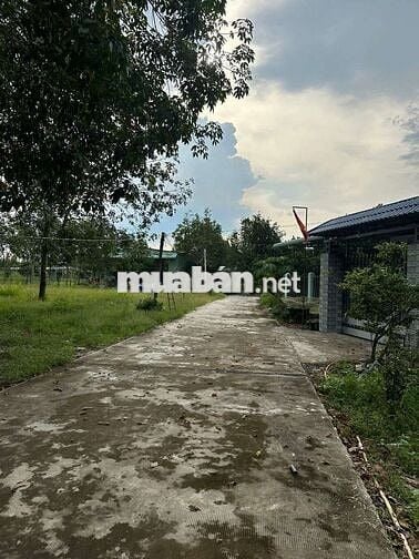 Kẹt tiền cần Bán thu hồi vốn 500m2 giá  590 triệu