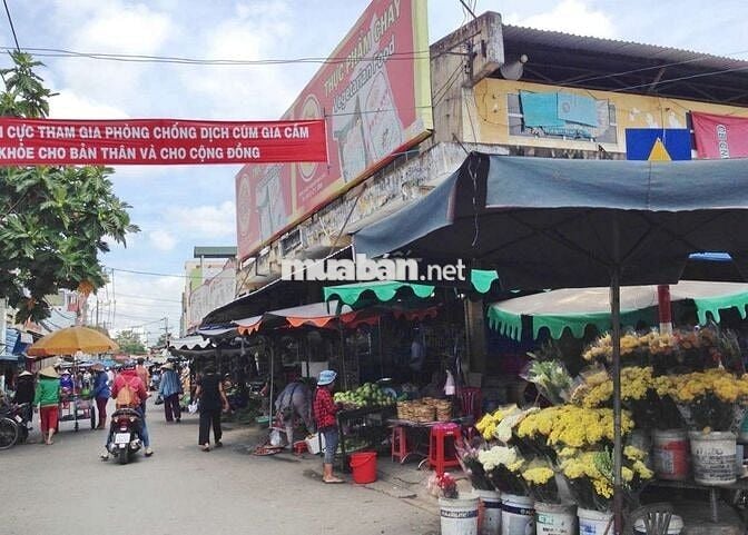 Nhà e bán vườn sầu riêng Chơn Thành giá rẻ 360 triệu
